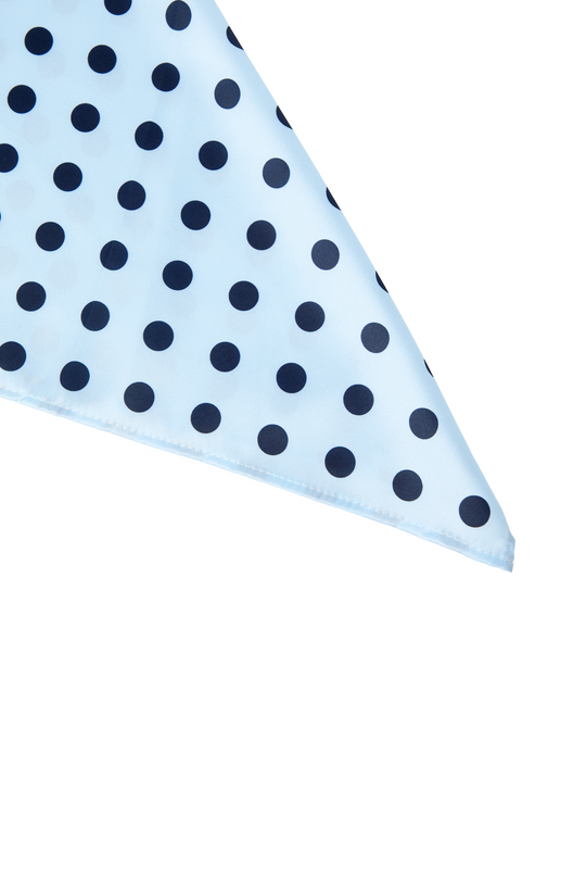 Polka Scarf in Powder Blue