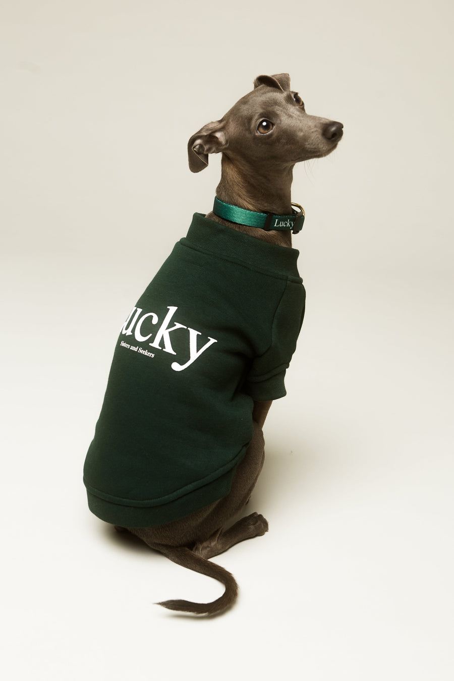 LUCKY Doggie Sweatshirt