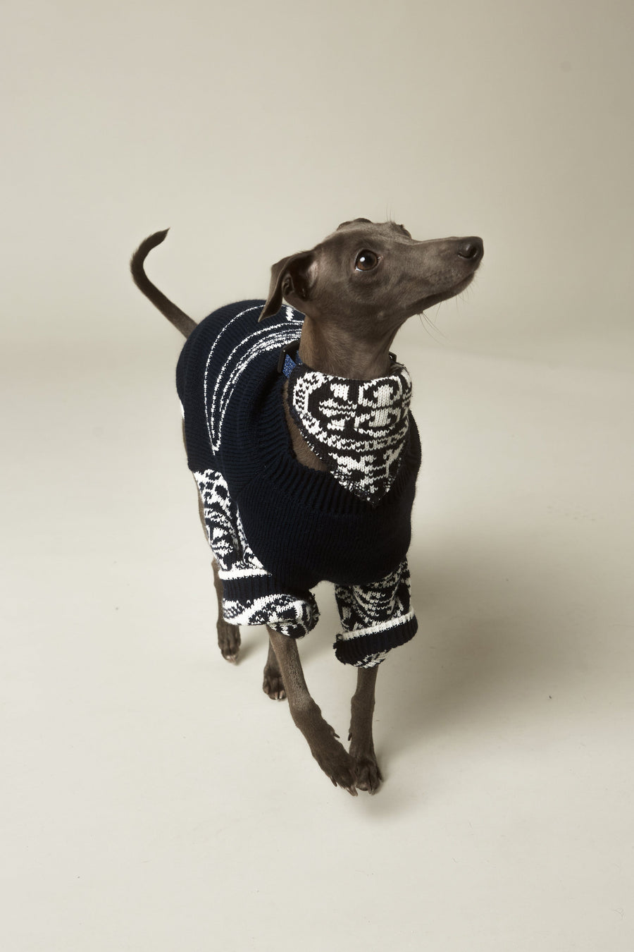 BUTTER Doggie Knit