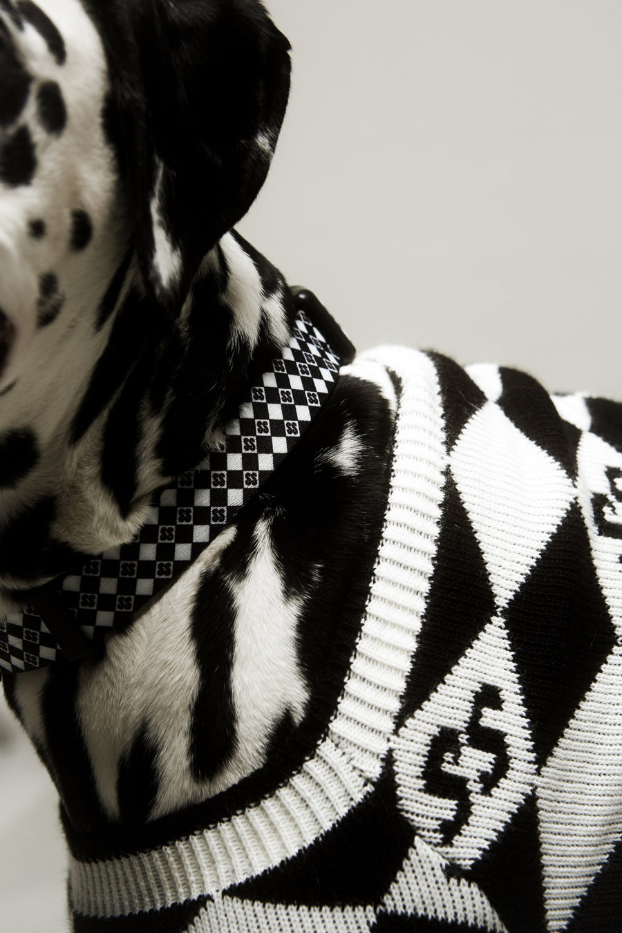 CHECKMATE Doggie Collar